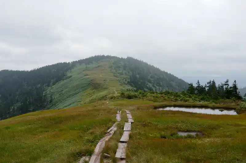 奥の山頂が会津駒ケ岳山頂。復路は巻道を通る予定である。