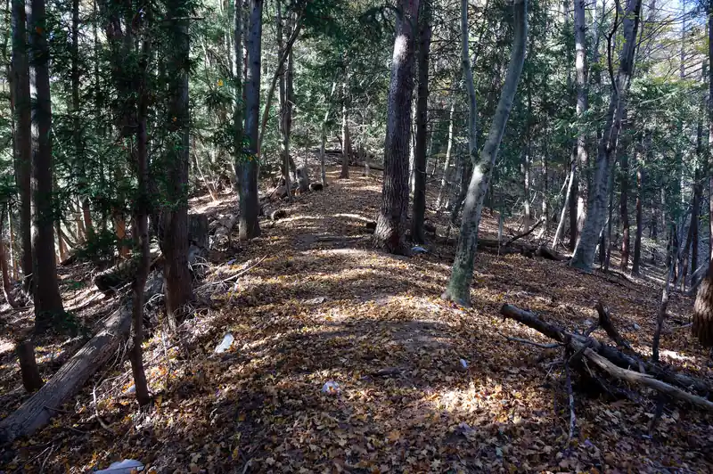 しばらくなだらかな尾根道を歩いていきます。