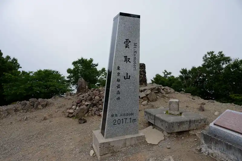 で、もうちょっとだけ登っていくと原三角点のある山頂に到着。どうやらここが本物（？）の山頂のようです。

ここに東京都の山頂標と…