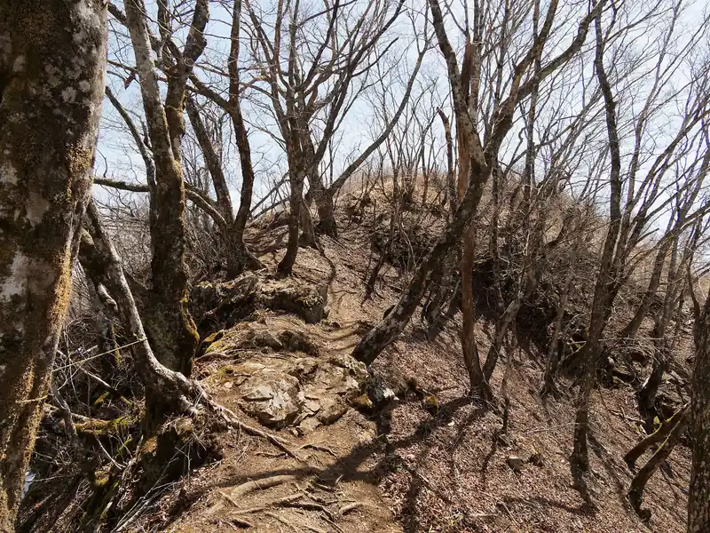ようやく山頂が見えてくる。