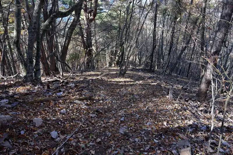 大同山からはロープのある道を下っていきます。
ロープはありますが、使うまでもないくらいの傾斜です。