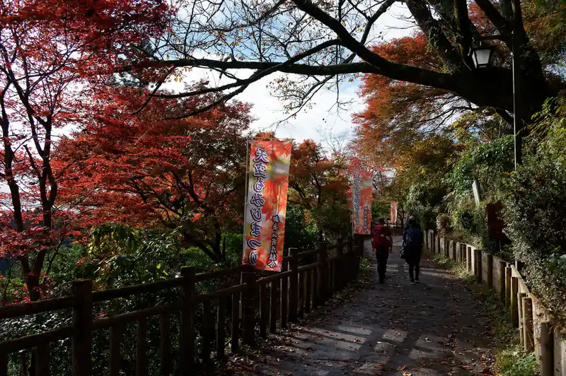 ケーブルカー駅を降りてからすぐ紅葉のお出迎え。
「天空もみじまつり」の幟通りです。