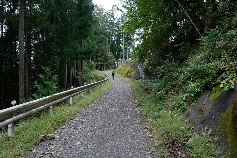 林道に出てきたら鳩ノ巣駅は近い。
少しだけ林道を進んで奥のカーブのところで再び登山道へ入る。