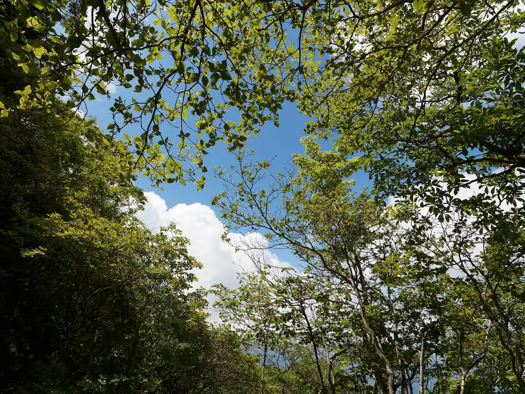 良い天気だ。もう何も言うまい。
この写真は、計画とかまあいいか、山を楽しもうじゃないか、と地面に座って行動食のソイジョイを食べていた時に撮った1枚です。