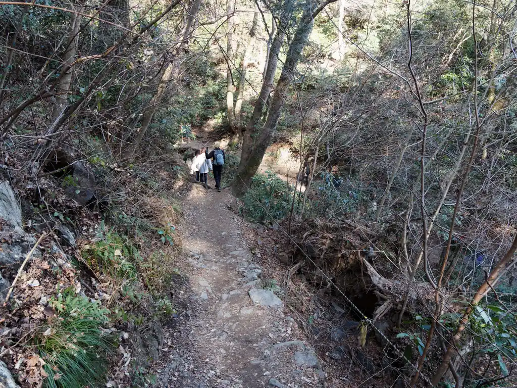高尾山の登山道って結構舗装路なんじゃないの？って勝手に思っていたけど、結構しっかり登山道だった。なかなか楽しい道です。

ただ人が多くて道幅はそれほど広くないので、追い越しは難しく、自分のペースで歩くのは難しいです。

あと単純に斜度がかなり緩やかなので標高差のわりに距離が長い。