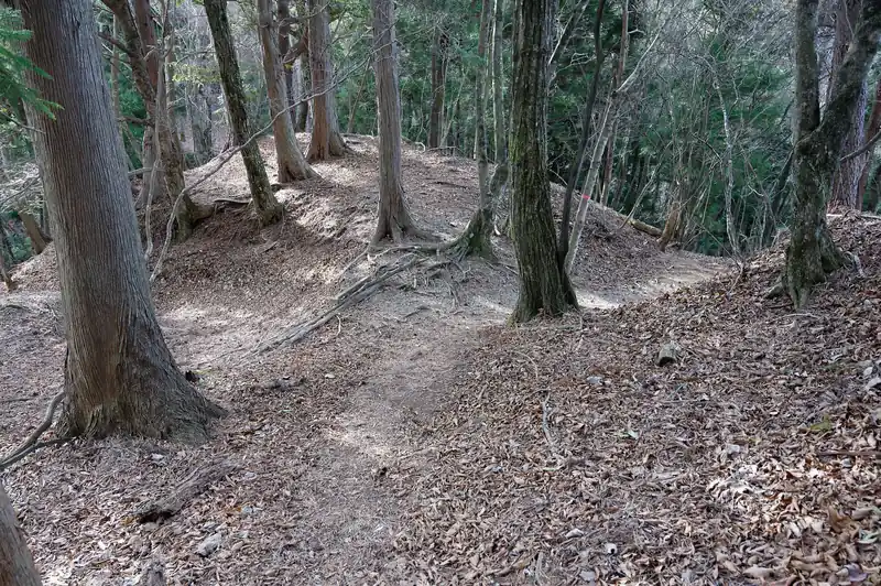 若干謎の分岐もあるものの、まあわかりづらいな、と思ったのはここくらいかな。
よく見たらピンクテープもあるし、写真左側の道は木の枝が下に置いてあるので、迷うって感じではないかな、と思います。