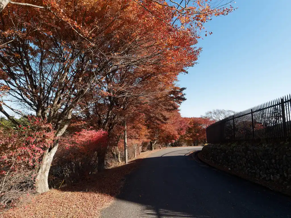 一通り山頂からの景色を楽しんだので、キャンプ場に向かってテントを張ることにする。
天文台の周囲の木は赤く色づいて綺麗だった。