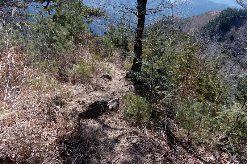 このあと、大滝山まで行こうかと思っていたんですが、やる気なくして下山です。