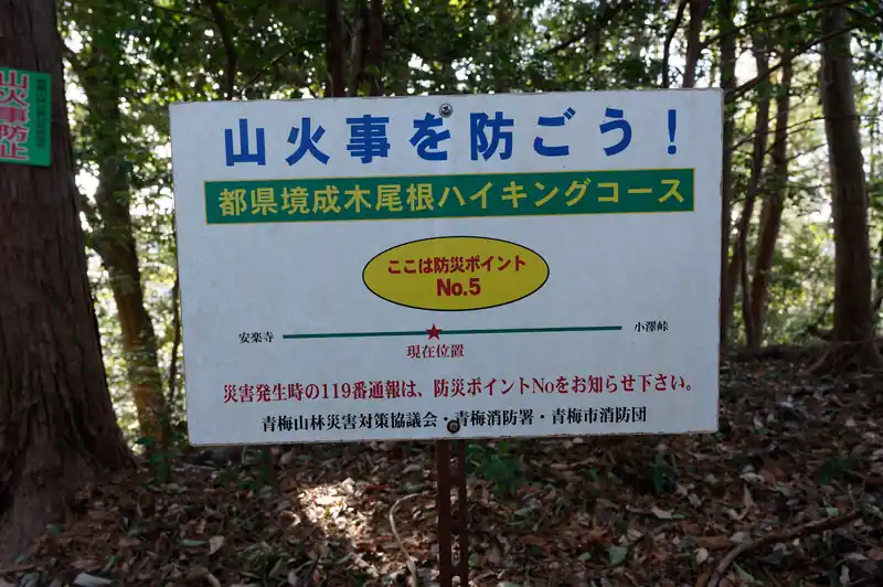 防災ポイントNo.5
成木尾根ハイキングコースか。思ったよりちゃんとした登山道なのかもしれないな。メジャーどころの地図に記載ないけど。