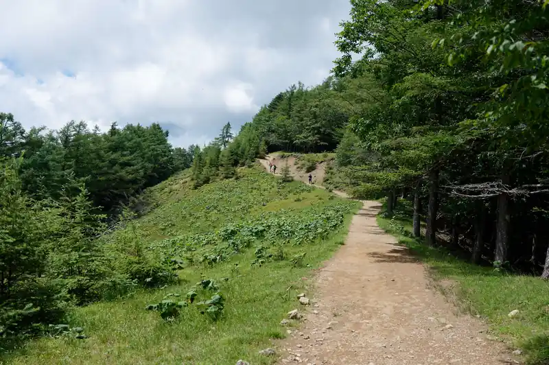 石尾根は本当に良い道ですね。
このあたりはとにかく歩きやすいし明るくて気持ちがいい。