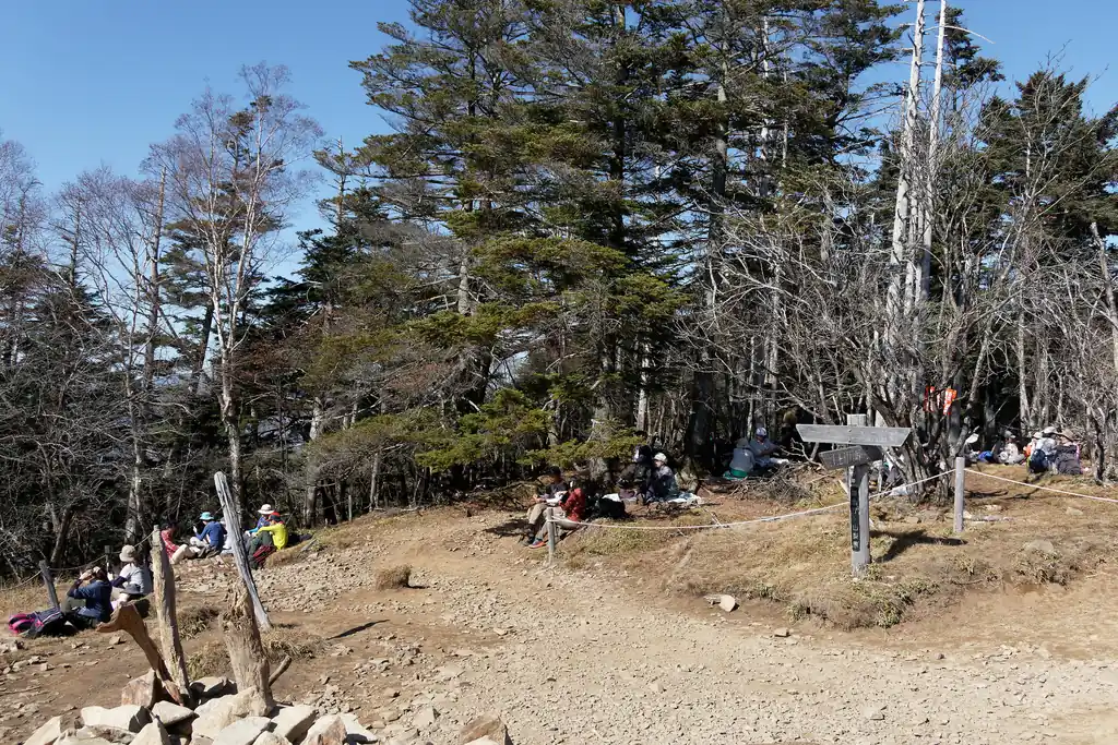 こっちは大菩薩嶺山頂へ至る道。山頂標から向こうは、苔むした登山道が丸川峠付近まで続く。