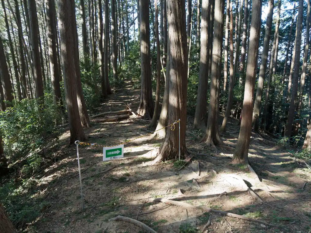 新しい指導標が出来てる！と思ってみてたんですが、これ、YAMAPで迷いやすい道に選ばれたからですかね。

私はいつも大高山から天覚山に登るので、ここで迷ったことはないんだけど、確かに逆から歩いてくると違う尾根に入っちゃうかも。