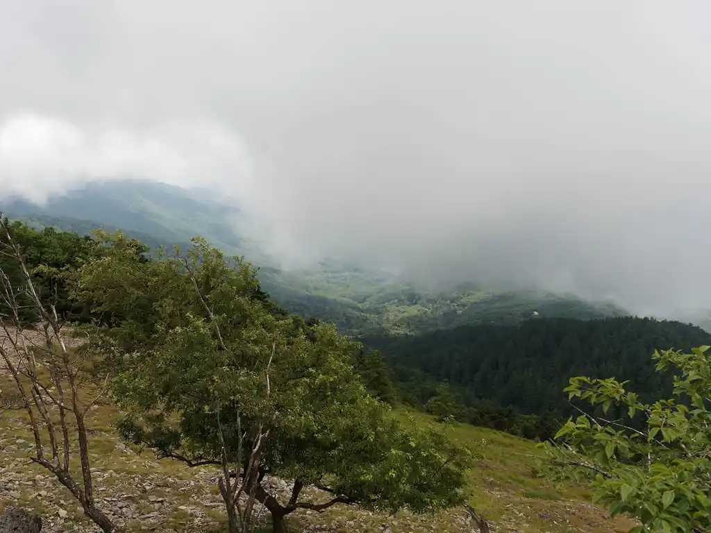 本当はこの向こうに富士山が見えるはずなんだけどな…。
まあ仕方ない、こういう日もある。