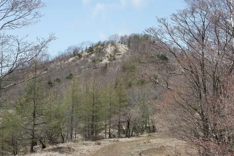 鷹ノ巣山がもうあんな遠くに。