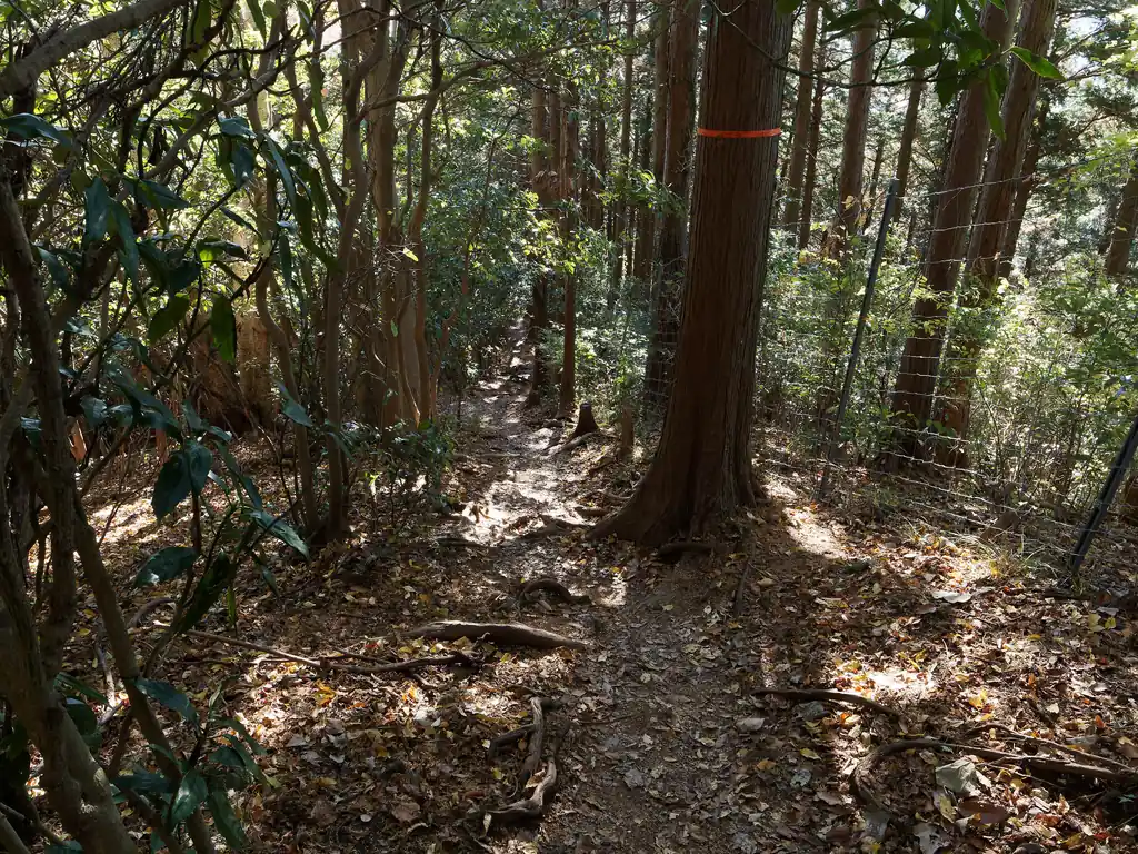 しばらくはそのまま道なりに進む。地味にこの区間が長く感じる。
登山者は数人程度だが、トレラン勢が特に多く感じる。何か大会があるんだろうか？