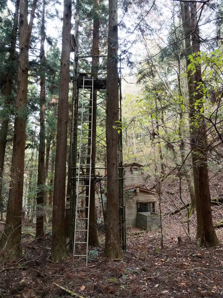 と思ったら、すぐ傍に本丸と思しき小屋跡地があった。こっちは色々と荷物が散乱していて廃墟感が強い。