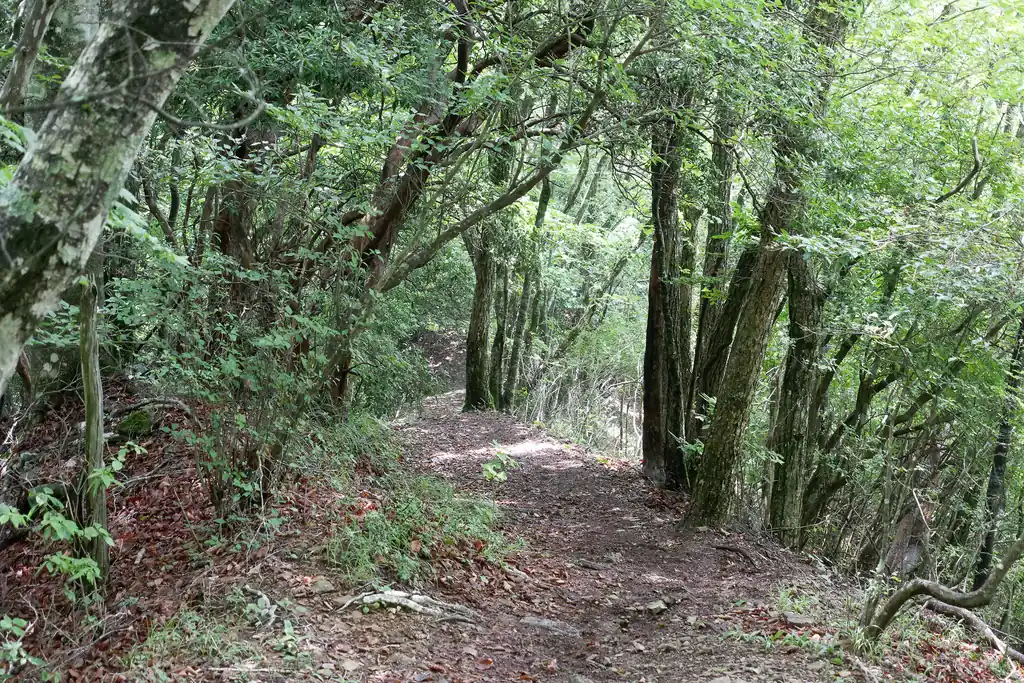すぐに蜂指沢ノ頭に到着。
ここは山頂標があるくらいで、ベンチとかはなかった記憶。