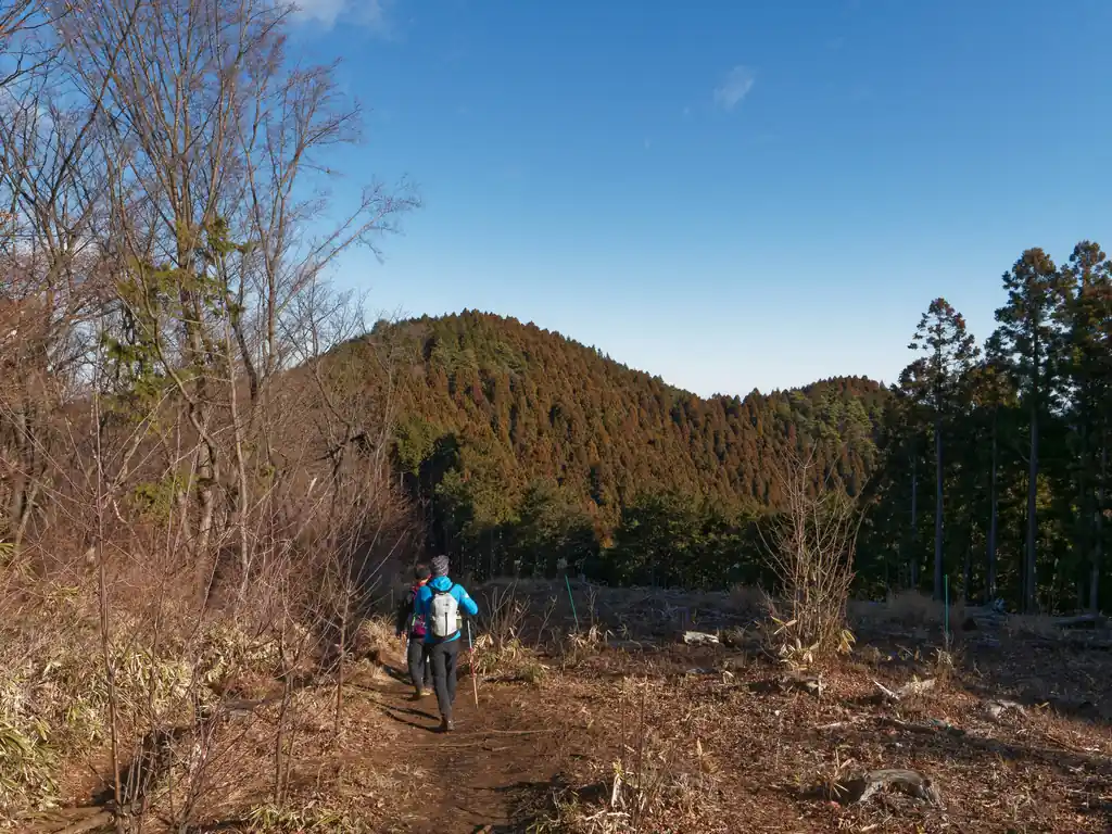目の前のピークが堂所山。
あそこでこの縦走路ともおさらばか～