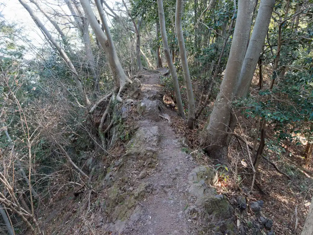 ここはちょっと痩せ尾根。