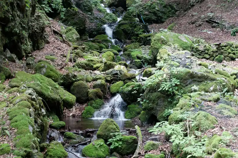 また沢に突き当たる。
こっちは水量が豊富。しかし全く人がいない…。
