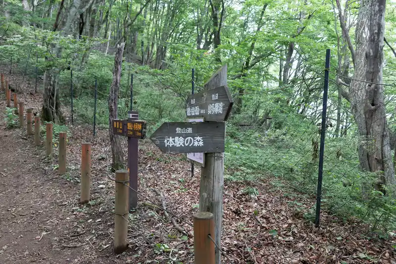 途中都民の森経由で下山する分岐がある。