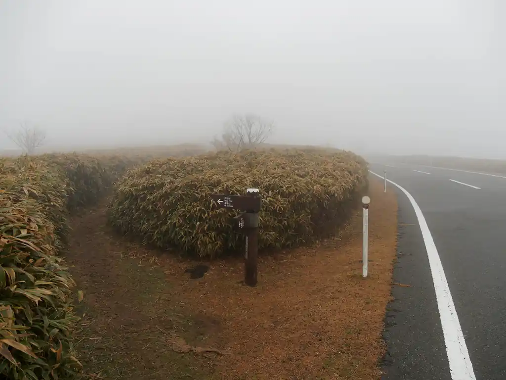 ここから再び笹の登山道に入る。今度は古稀山に登る。