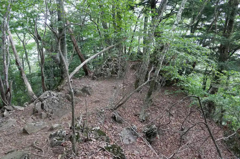 ちょっと岩っぽくなってきて…