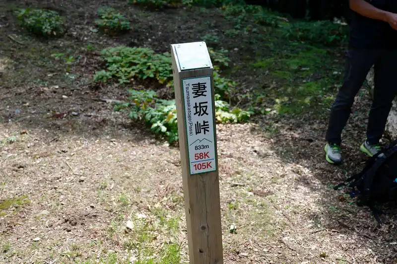 妻坂峠に出ました。
奥むさし飯能観光協会のウェブサイトによると「妻坂の由来は、鎌倉時代の武将・畠山重忠が鎌倉におもむく折り、愛妻がいつもこの峠まで見送ったからなどと伝えられています。」とのことです。
https://hanno-tourism.jp/hiking/h015/