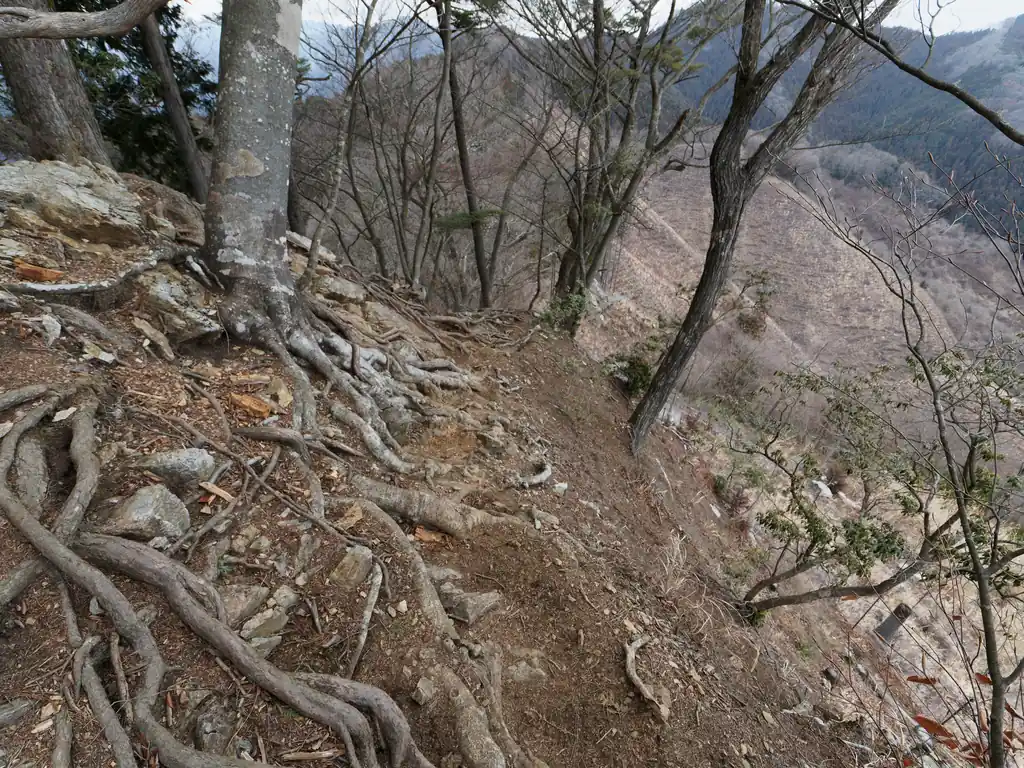 伐採地ということもあり、若干高度感があり、なんだか落差が大きく感じていたんですが…。
これ、落差の大きい場所を降らないといけないとしたら嫌だな～とか思っていたんですが、全然そんなことはなく、まあちょっと岩っぽいよね、位な感じ。

というか、岩場より、この細い道を奥に移動するほうが怖かったわ。