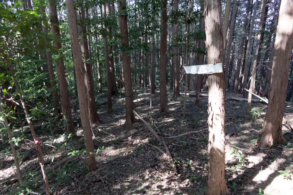 こっちは県道と書いてある道。ほんの少しだけ歩いてみたけど、若干薄い踏み跡があった感じ。