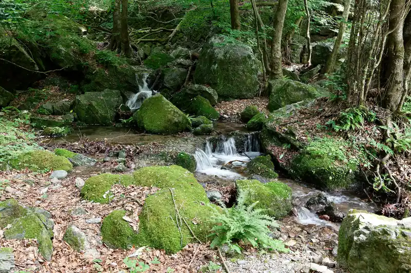 沢沿いの道。