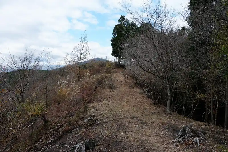 樹林帯の道だったのが開けた場所に出ました。これがこのトレイルのハイライト、サンショウバラの丘かな。