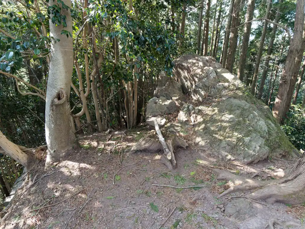 ここも岩の裏手、なんか踏み跡っぽいなあ…と思って写真撮って、下山後調べたけど、別に登山道はなかった。