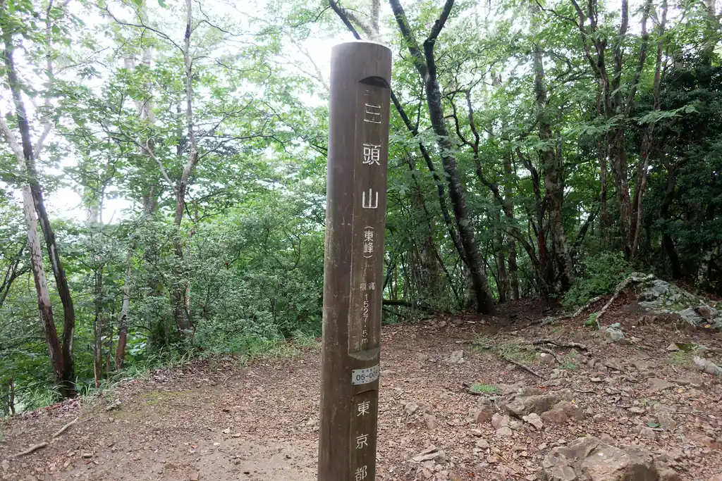 見晴らし小屋から100mほど登ると三頭山東峰。バス停から約1時間で到着です。
三頭山は三つのピークがある山なんですが、標高の高い順に、中央峰(標高1531m)、東峰(標高1527m)、西峰(標高1524m)となっています。
中央峰と東峰は写真のような、なんてことない山頂標なんですが、西峰にある山頂標だけ石でできた立派なものとなっています。
この石でできた山頂標は、奥多摩の山でも限られた場所にしか置かれていません。