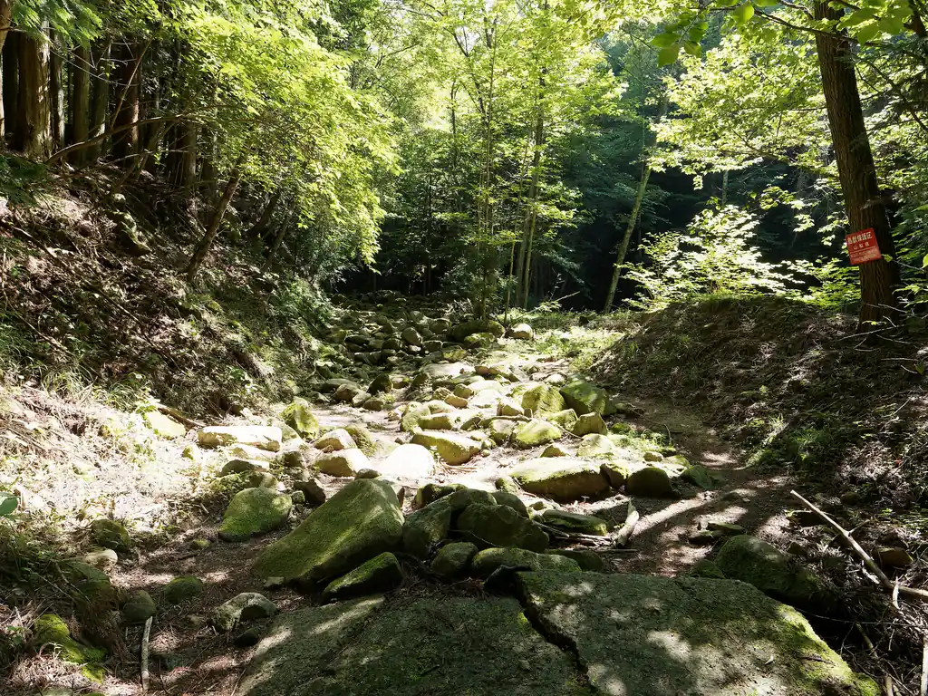 早速岩岩。まだ標高は全くあがっていないのですが、沢沿いのためか、やたらに冷たい風が吹いています。