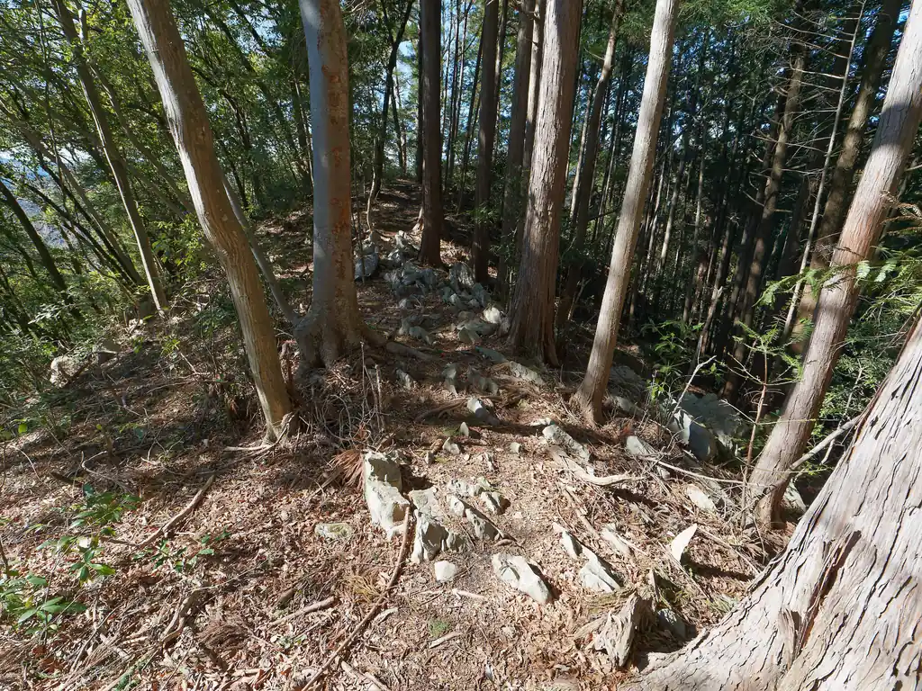 恐竜の背みたいなところを通り…