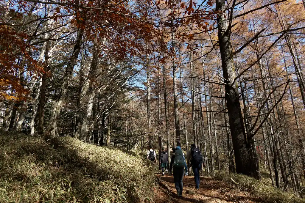 こんなに大勢の登山者は久しぶりだ。と思ったけど、少し前に大倉尾根を歩いた時もこのくらい人はいたっけ。