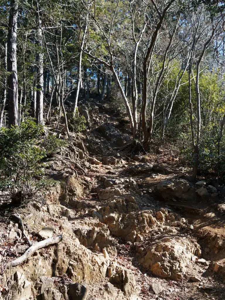 日和田山山頂直下は少し露岩の目立つ道。