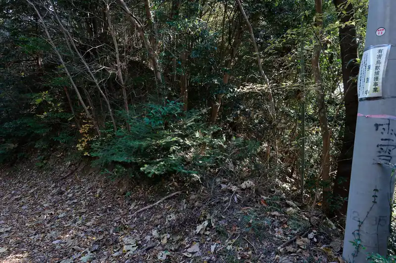 地図的にはこの藪の向こうが多武峯っぽい。
多武峯ってそもそもなんだ？