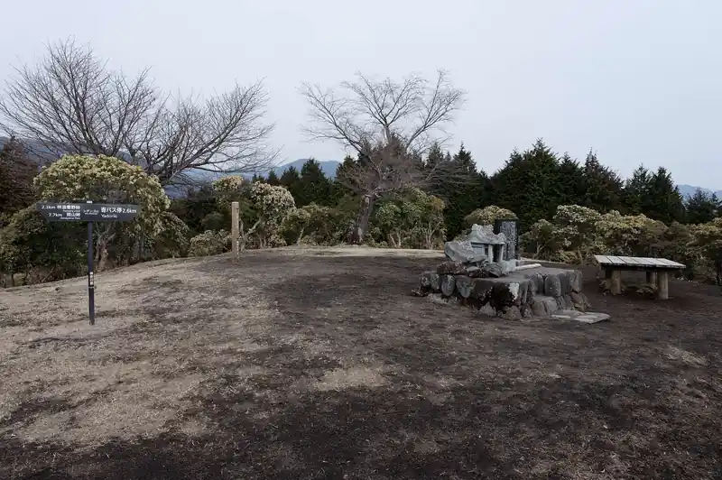 シダンゴ山の山頂に到着。
山頂は丹沢ベンチが一つだけ。
周囲はアセビに囲まれていて、アセビの向こうには景色が広がっています。
