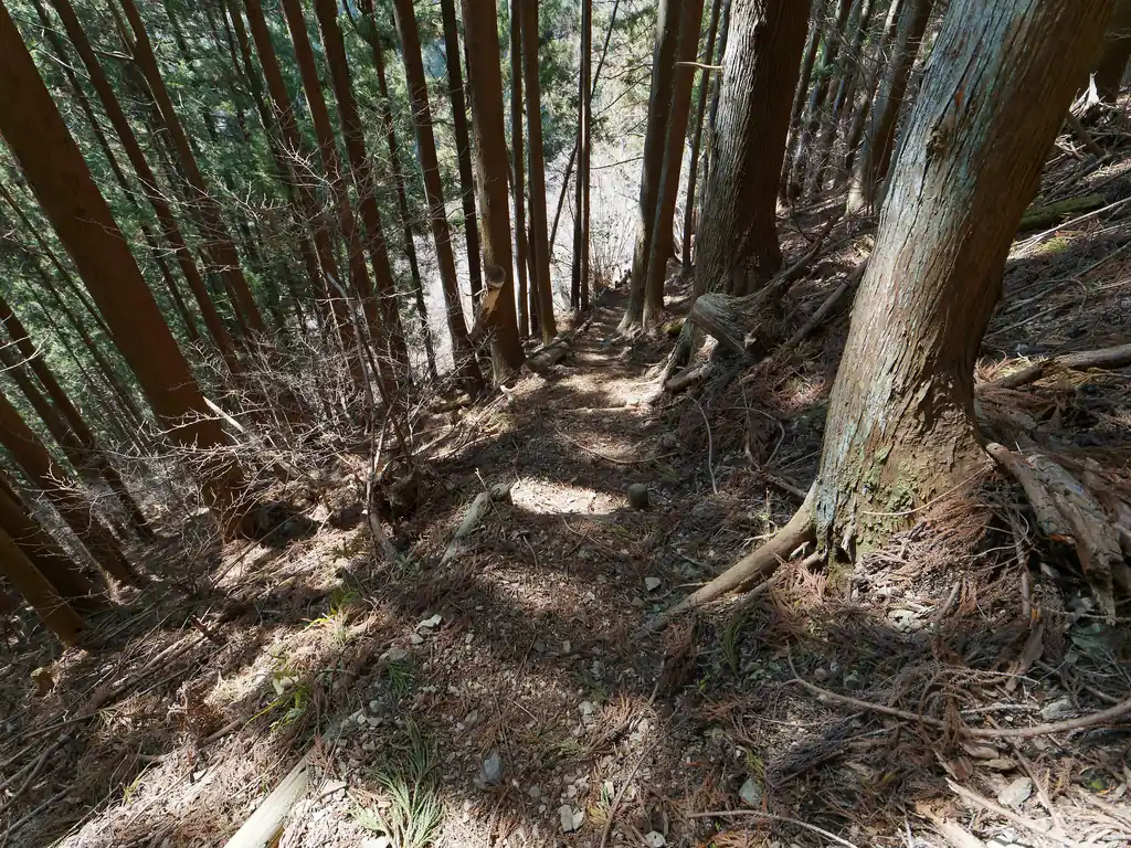 どんどん降っていくと…
