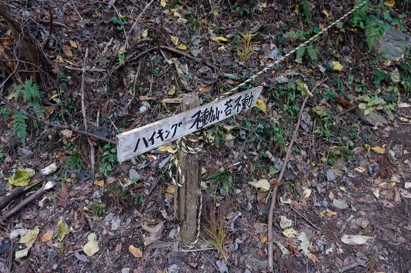 舗装路を挟んで向かい側に不動山の道標がありました。
ここが不動山の登山口らしい。