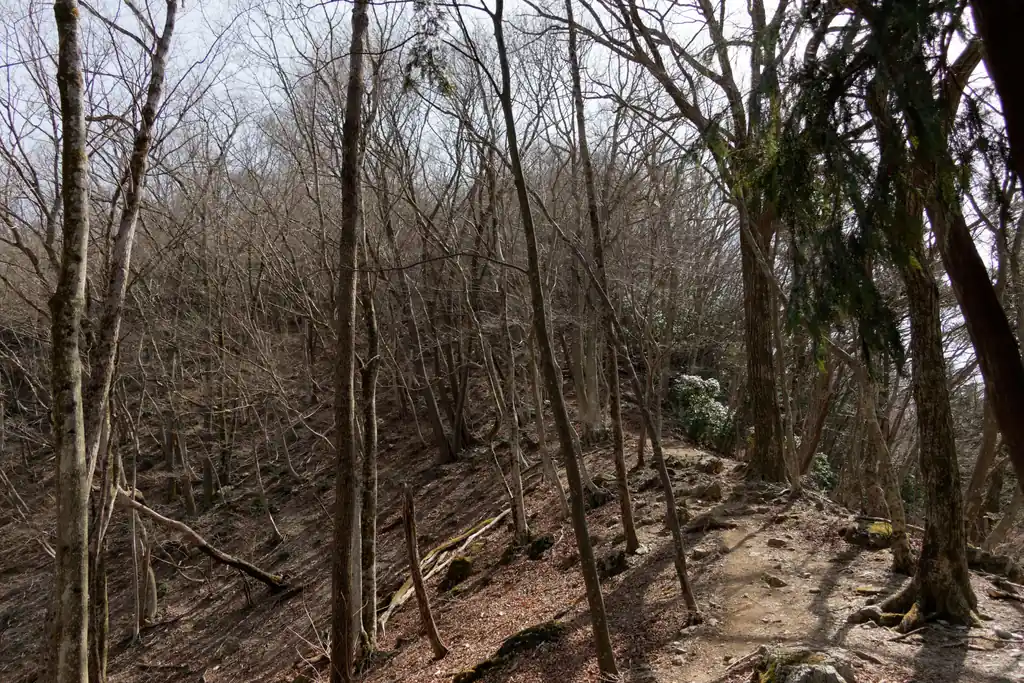 ここから岩茸石山までの登り返しがまたきつい