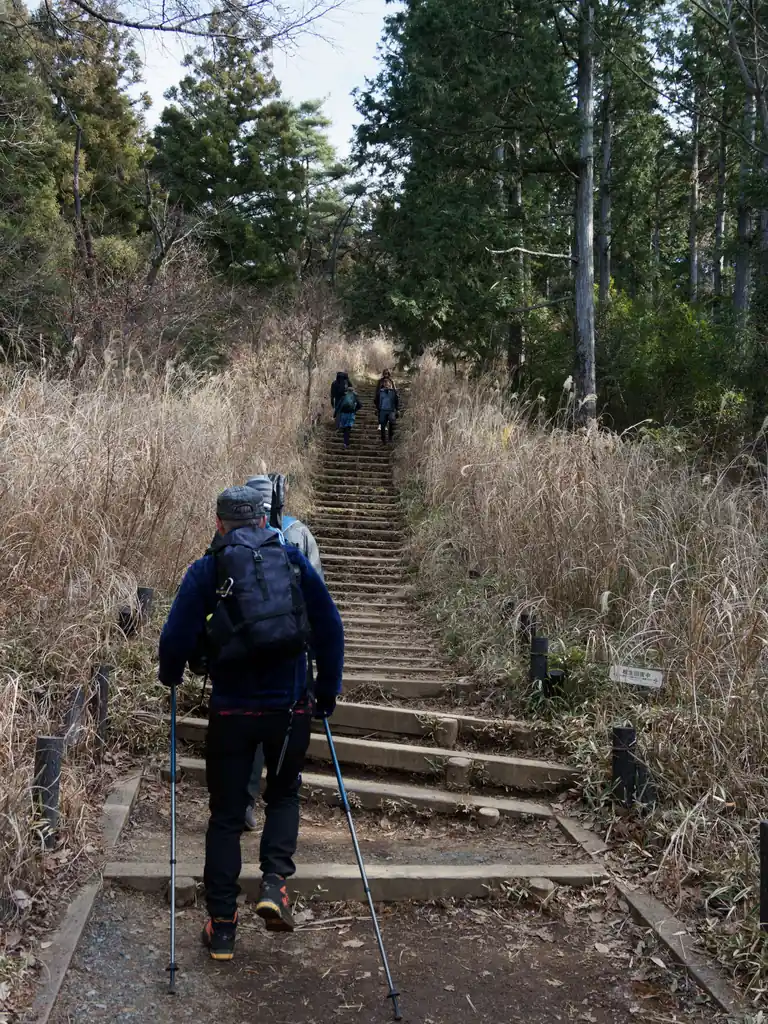 そこから高尾山へはこの階段を超えていく必要がある。パッと見より段数が多いので結構きつい。記憶だと、写真の階段登り終えてもまだ階段続いてた気がする。