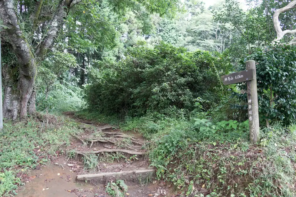ようやく登山口に到着。ここからは陣馬山まで緩やかに登っていく非常に歩きやすい道が続きます。
