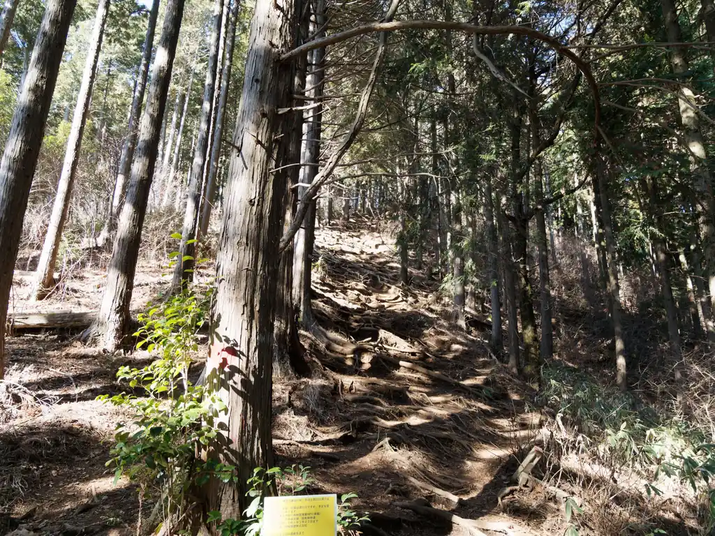 堂所山からの下り。何もなさそうだったので、私は巻き道を行った。陣馬山方面から来たときは登りはそれほど斜度が大きくなさそうだったけど、こっちから見ると結構な角度の下りですねえ。