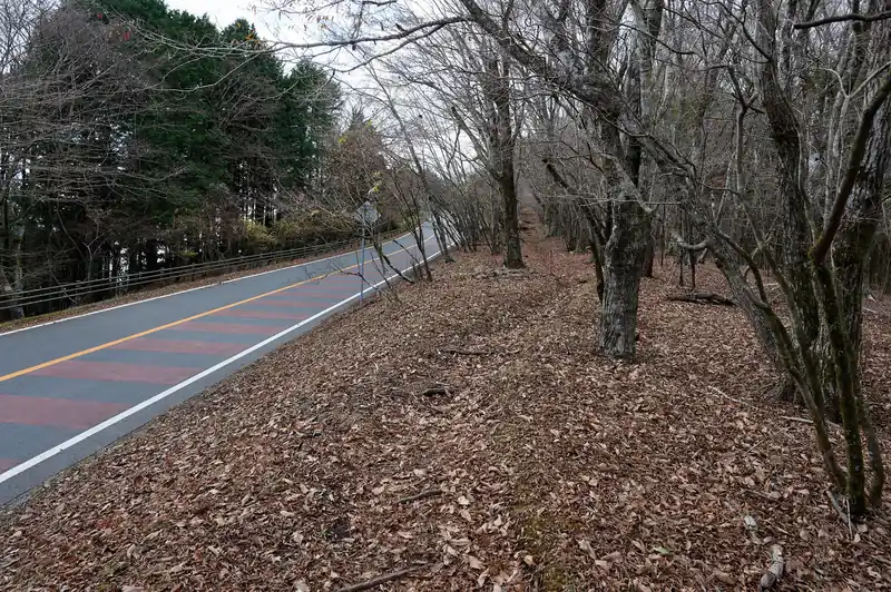 が、しばらくはこんな感じで舗装路と並走しています。