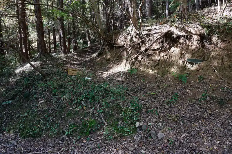こちらも地図にない道。どこへ続くのやら。