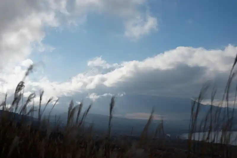 鉄砲木ノ沢から降りていくと富士山の頭がちらっとだけ見えました。