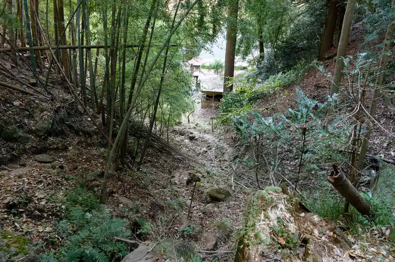 目の前に見えてきた阿弥陀寺らしき建造物。
このあたりが一番荒れていて道がわかりづらかったが、すぐそこにゴールが見えているので問題なく進む。